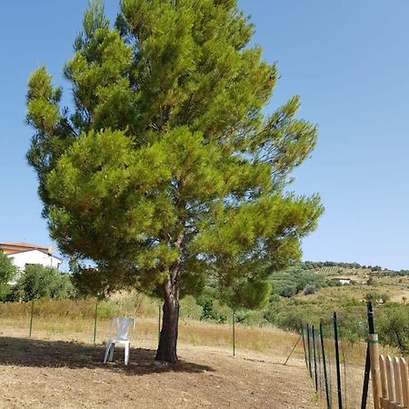 Villetta Nel Verde อาเชอา ภายนอก รูปภาพ